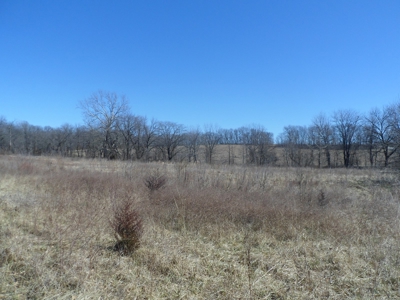166 Acres For Sale Near Smithville Lake, Mo - image 2