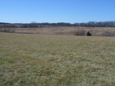 166 Acres For Sale Near Smithville Lake, Mo - image 4