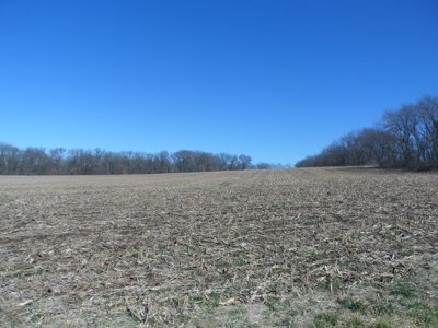 166 Acres For Sale Near Smithville Lake, Mo - image 6