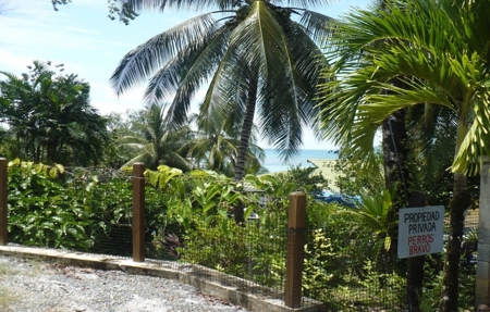 Beautiful Rain Forest Home & Botanical Garden Bocas del Toro - image 4