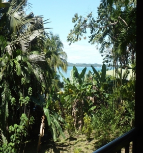 Beautiful Rain Forest Home & Botanical Garden Bocas del Toro - image 5