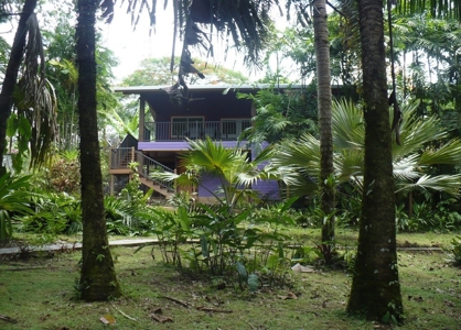 Beautiful Rain Forest Home & Botanical Garden Bocas del Toro - image 1