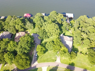 Waterfront Lot Lake Palestine In East Texas - image 3