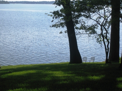 Waterfront Lot Lake Palestine In East Texas - image 7
