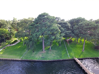 Waterfront Lot Lake Palestine In East Texas - image 10