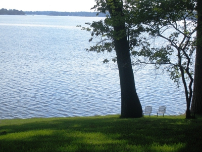 Waterfront Lot Lake Palestine In East Texas - image 8