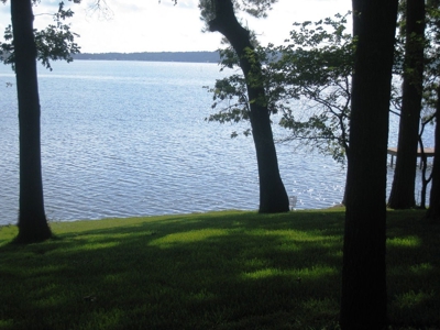 Waterfront Lot Lake Palestine In East Texas - image 6
