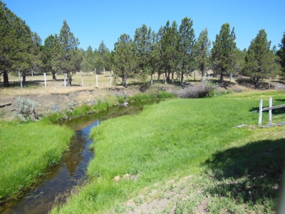 Modoc County CA Country Home For Sale Horse Property - image 11