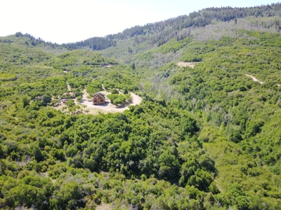 Colorado Log Home For Sale, Hunting Land Near Telluride CO - image 13