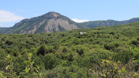 Colorado Log Home For Sale, Hunting Land Near Telluride CO - image 7