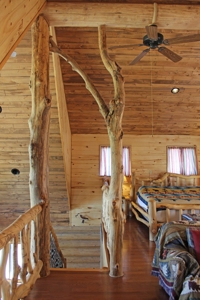 Colorado Log Home For Sale, Hunting Land Near Telluride CO - image 1