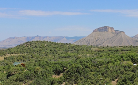 Colorado Log Home For Sale, Hunting Land Near Telluride CO - image 4