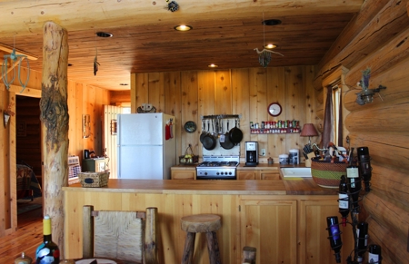 Colorado Log Home For Sale, Hunting Land Near Telluride CO - image 23