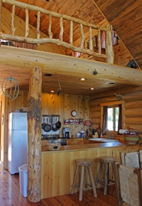 Colorado Log Home For Sale, Hunting Land Near Telluride CO - image 5