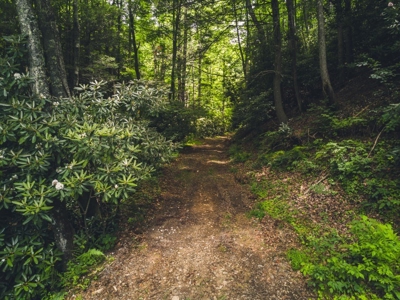 Recreational Property for Sale in Dugspur VA - image 15