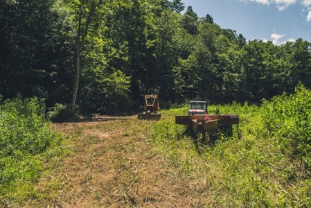 Recreational Property for Sale in Dugspur VA - image 2