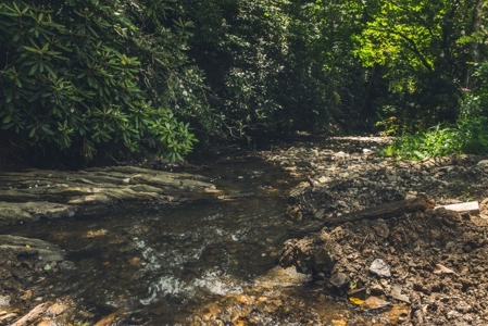 Recreational Property for Sale in Dugspur VA - image 4