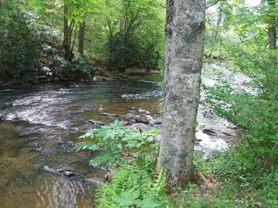 Recreational Property for Sale in Dugspur VA - image 24