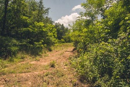 Recreational Property for Sale in Dugspur VA - image 9