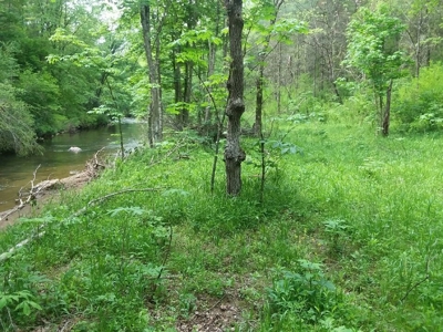 Recreational Property for Sale in Dugspur VA - image 20