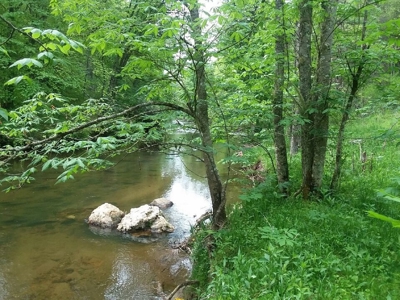 Recreational Property for Sale in Dugspur VA - image 21