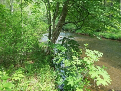 Recreational Property for Sale in Dugspur VA - image 23