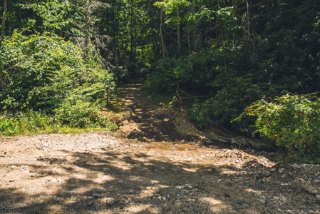 Recreational Property for Sale in Dugspur VA - image 3