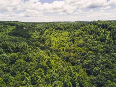 Recreational Property for Sale in Dugspur VA - image 13