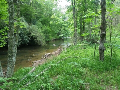 Recreational Property for Sale in Dugspur VA - image 19