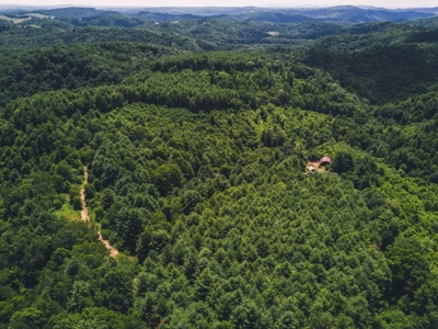 Recreational Property for Sale in Dugspur VA - image 17