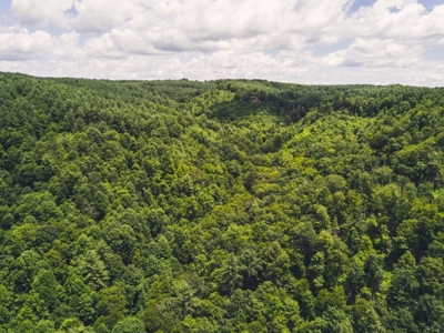 Recreational Property for Sale in Dugspur VA - image 14