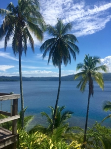 Stunning, Bocas del Toro, Coastal Oceanfront Home Panama - image 20