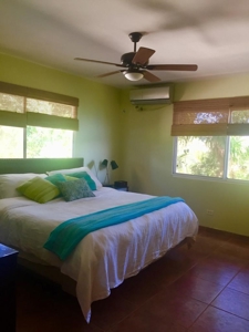 Stunning, Bocas del Toro, Coastal Oceanfront Home Panama - image 19