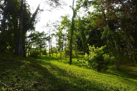 Stunning, Bocas del Toro, Coastal Oceanfront Home Panama - image 12