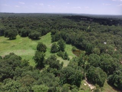 House & Land For Sale - Horse/Equine Ready - Buffalo, TX - image 38
