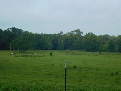 House & Land For Sale - Horse/Equine Ready - Buffalo, TX - image 14