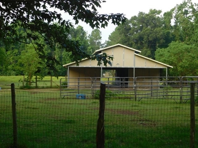 House & Land For Sale - Horse/Equine Ready - Buffalo, TX - image 20