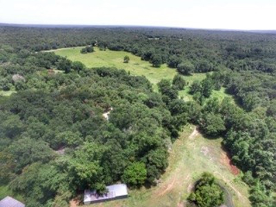 House & Land For Sale - Horse/Equine Ready - Buffalo, TX - image 43