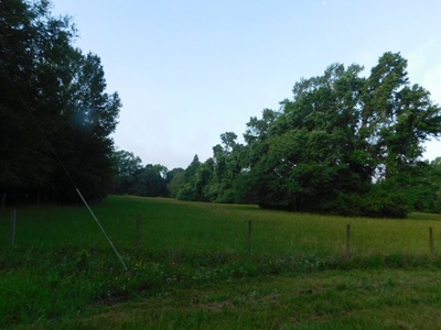 House & Land For Sale - Horse/Equine Ready - Buffalo, TX - image 15