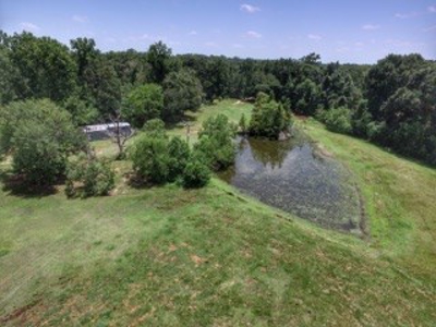 House & Land For Sale - Horse/Equine Ready - Buffalo, TX - image 34