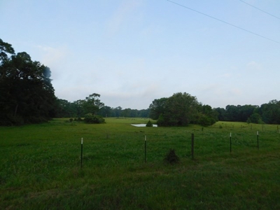 House & Land For Sale - Horse/Equine Ready - Buffalo, TX - image 12