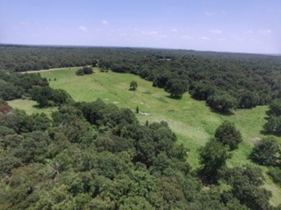 House & Land For Sale - Horse/Equine Ready - Buffalo, TX - image 37