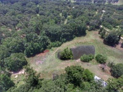 House & Land For Sale - Horse/Equine Ready - Buffalo, TX - image 39
