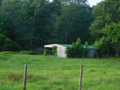 House & Land For Sale - Horse/Equine Ready - Buffalo, TX - image 18