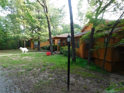 House & Land For Sale - Horse/Equine Ready - Buffalo, TX - image 23