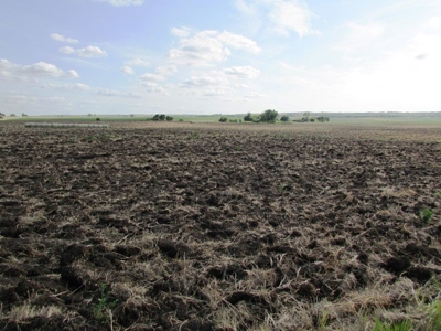 SOLD!!! 239 acres of Crop & Hunting in Roberts County - image 14