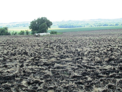 SOLD!!! 239 acres of Crop & Hunting in Roberts County - image 13