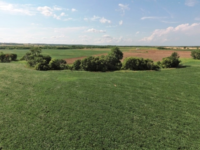 SOLD!!! 239 acres of Crop & Hunting in Roberts County - image 5