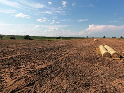 SOLD!!! 239 acres of Crop & Hunting in Roberts County - image 2