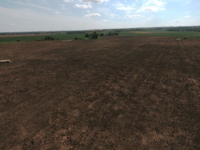 SOLD!!! 239 acres of Crop & Hunting in Roberts County - image 9